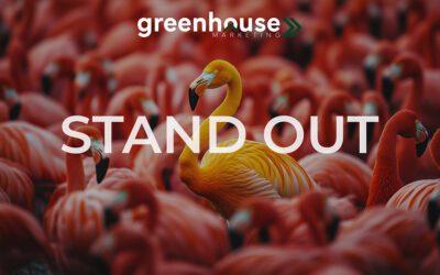 Stand Out & Sell More: Your Guide to Breaking the Real Estate Marketing Mold in 2025